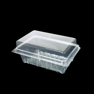 ISO9001 Container en plastique de qualité alimentaire en PET personnalisé
