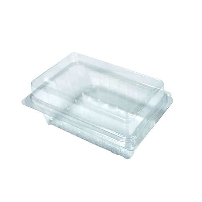 ISO9001 Container en plastique de qualité alimentaire en PET personnalisé